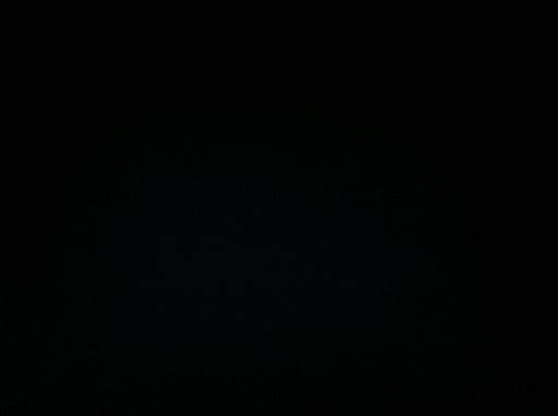 Julie Mcneill Photo 35