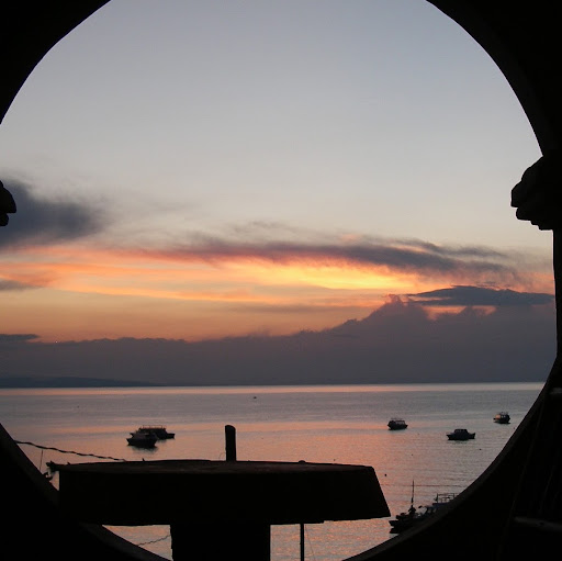 Donna Rich Photo 31 Donna Rich Photo 31