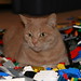 Sherry Erickson Photo 28