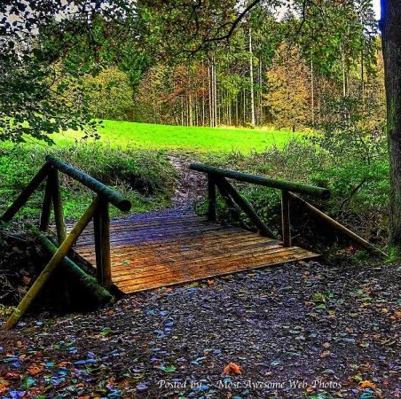 Deanna Rice Photo 17