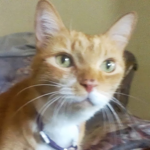 Christopher Pennington Photo 18