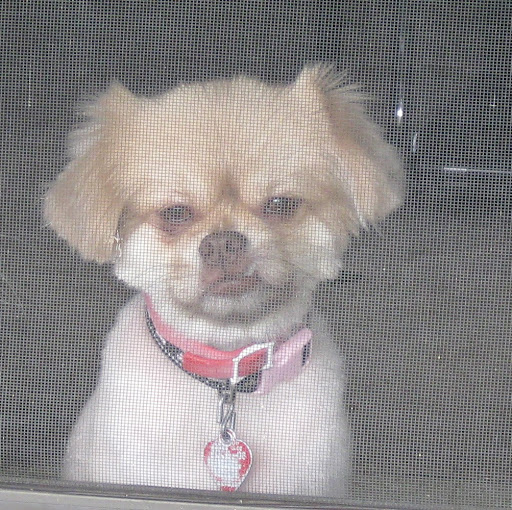 Cindy Bradley Photo 38