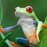 Karen Durham Photo 8