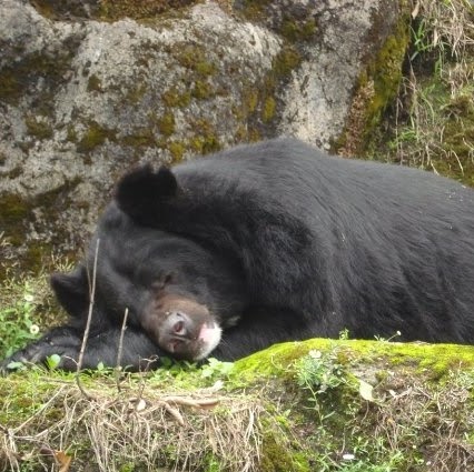 John Romano Photo 49