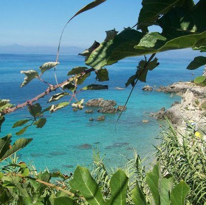 Angela Manno Photo 1