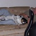 Wayne Tyre Photo 9