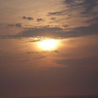 Michele Zimmerman Photo 3