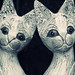 Dawn Carver Photo 32