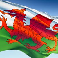 Derrick Davies Photo 8