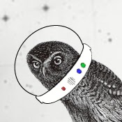 Sheri Wheeler Photo 8