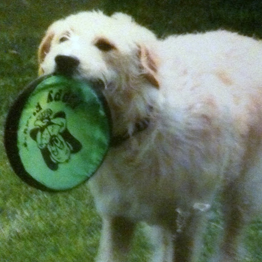 Dianne Hughes Photo 13