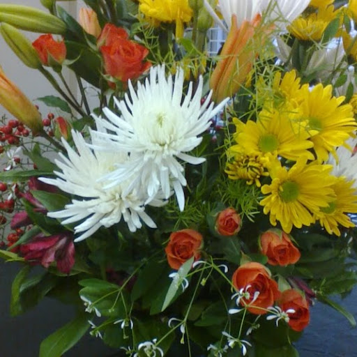 Alfred Fox Photo 27 Alfred Fox Photo 27