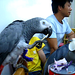 Chao Zhang Photo 21
