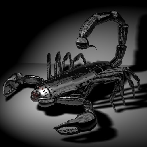 Chris Mcdougall Photo 10