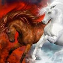 Shari Anderson Photo 20