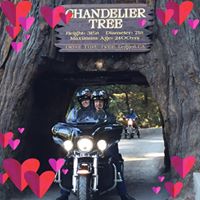 Pamela George Photo 36