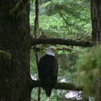 Mark Mcdonald Photo 45