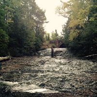 Ron Campbell Photo 32