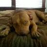 Kimberly Newsome Photo 15