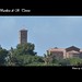 Teresa Campanile Photo 11