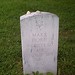 Mark Gottlieb Photo 20