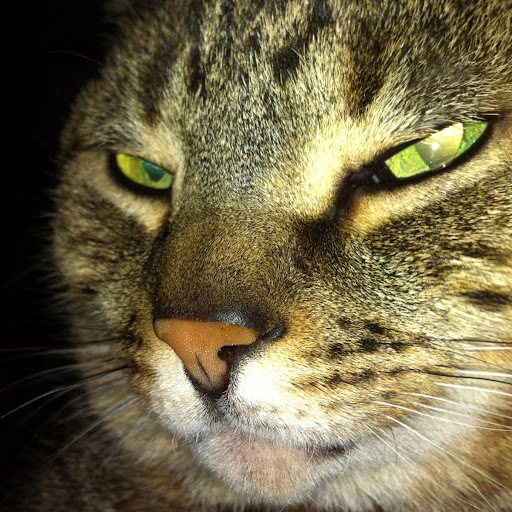 Kathy Smart Photo 37