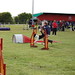 Diane Beck Photo 4