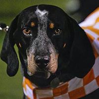 Michael Curl Photo 33