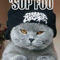 Danielle Pate Photo 5