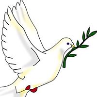 Julie Collings Photo 15