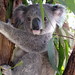 Dianne Hill Photo 34