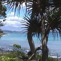 Susan Barclay Photo 11