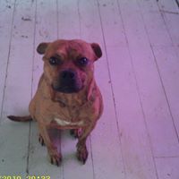 Frank Robertson Photo 34