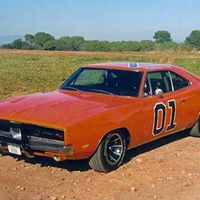 Matthew Brewer Photo 44