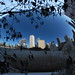 Crystal Bean Photo 38