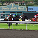 Joel Solis Photo 16