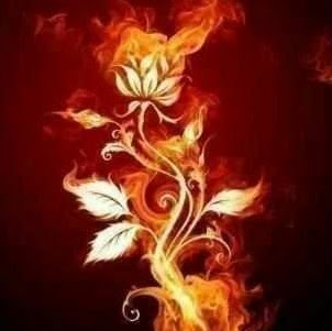 Julia Nance Photo 10