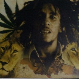 Reggie Gordon Photo 14