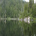 Dorothy Camp Photo 18