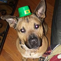 Stephanie Elder Photo 10