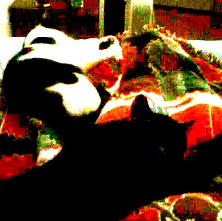 Danielle Calhoun Photo 26