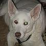Karen Locke Photo 53