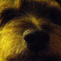 Tanya Rushing Photo 20