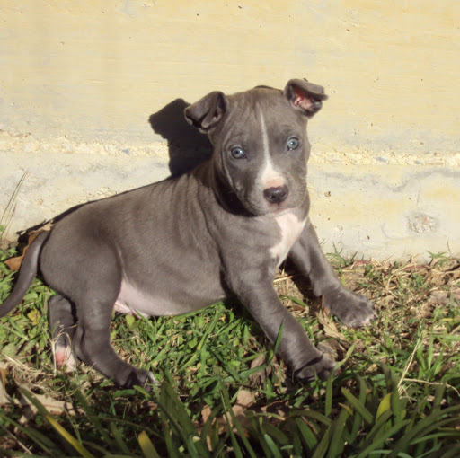 Christie May Photo 7