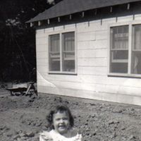 Dianne Harris Photo 5