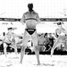 Mark Akers Photo 10