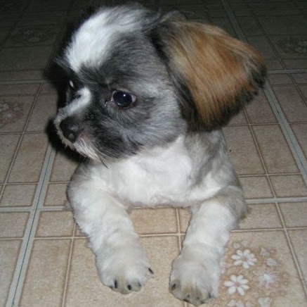 Amy Garrison Photo 38