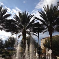 Julie Clifford Photo 35