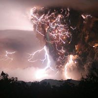 Diane Stafford Photo 15