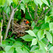 Richard Cardinal Photo 21